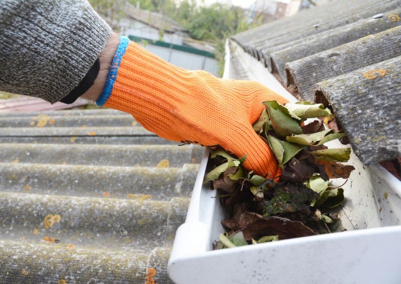 Business Gutter Cleaning in Roseville, CA
