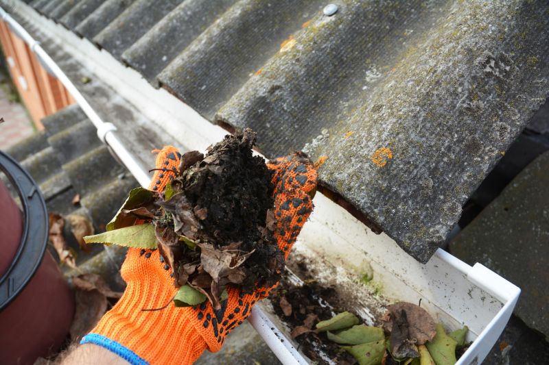 Gutter Debris Removal Process